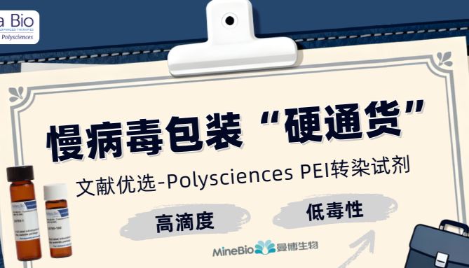 慢病毒包装的“硬通货”：Polysciences PEI转染试剂，为何成为数千篇文献的优选？