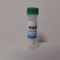 Dextran-COOH Magnetic Beads 葡聚糖羧基磁珠(3μm)
