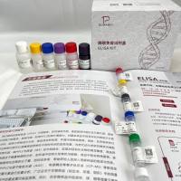 贝类（Shellfish）甲基胞嘧啶双加氧酶2（TET2）ELISA检测试剂盒
