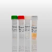 支原体检测试剂盒(显色法)