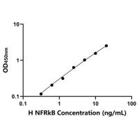 人核因子相关κB结合蛋白(NFRkB)ELISA试剂盒