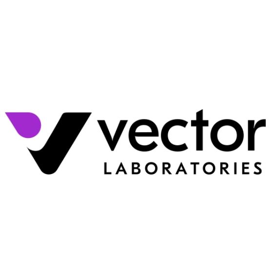 维百奥生物可提供Vector Laboratories品牌产品产品图