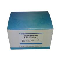 七种乳酸菌核酸检测试剂盒(多重荧光PCR法)