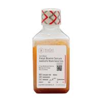 间充质干细胞专用胎牛血清