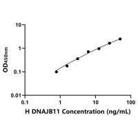 人DnaJHsp40同源物亚家族B成员11(DNAJB11)ELISA试剂盒