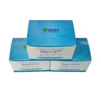 牛病毒性腹泻病毒(BVDV)探针法荧光定量RT-PCR试剂盒