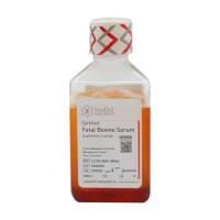 低IgG胎牛血清