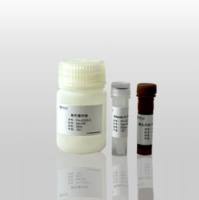 细胞周期与细胞凋亡检测试剂盒