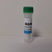 Dextran-OH Magnetic Beads 葡聚糖羟基磁珠(3μm)