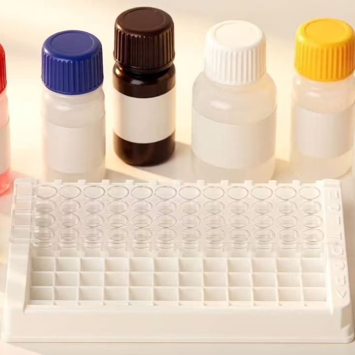 胰蛋白酶ELISA检测试剂盒