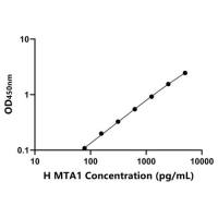 人转移关联蛋白1(MTA1)ELISA试剂盒