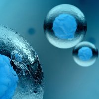 高纯植物囊泡（姜黄）