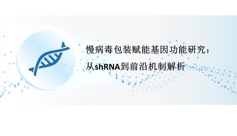慢病毒包装赋能基因功能研究：从shRNA到前沿机制解析