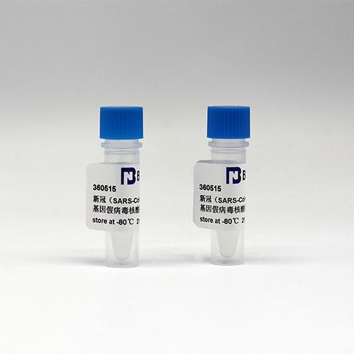 基·孔肯雅病毒RNA标准品产品图