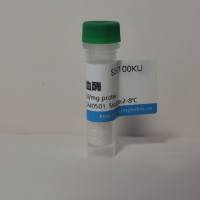 二氧化硅羟基磁珠(500nm) 50mg/mL