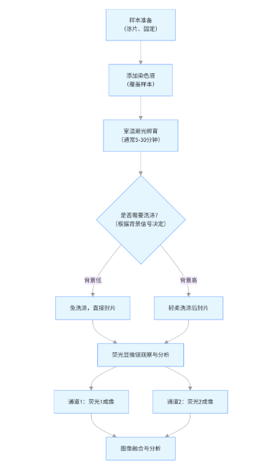 微生物成像新利器：AIE双重荧光染色技术的原理与应用