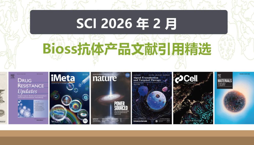 【26年2月文献战报】博奥森高分文献精彩呈现
