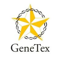 Zika virus prM protein antibody