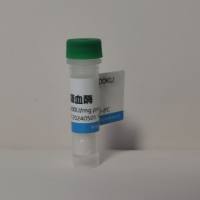 羧基磁珠 (1μm) 10mg/ml Mag COOH