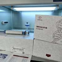 鹅（Goose）二肽酶（DPEP）ELISA检测试剂盒