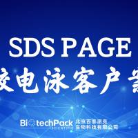 百泰派克生物科技：SDS PAGE凝胶电泳客户案例