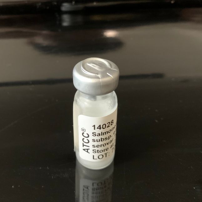 ATCC 14028 沙门氏菌标准菌株