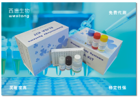 人细胞因子ELISA试剂盒 现货