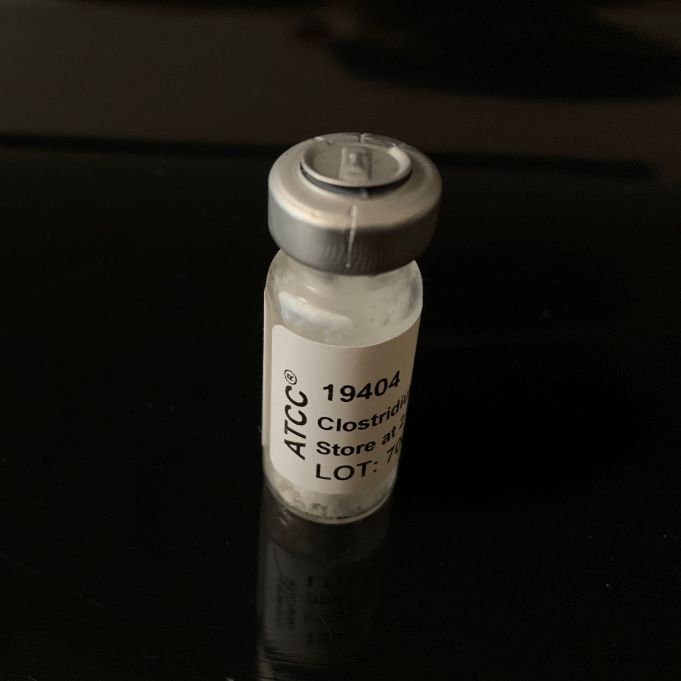 ATCC 19404生孢梭 菌标准菌株