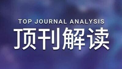 ​ Nature 子刊 ｜ IsoNet：基于稳定同位素示踪代谢组学技术开发的新策略