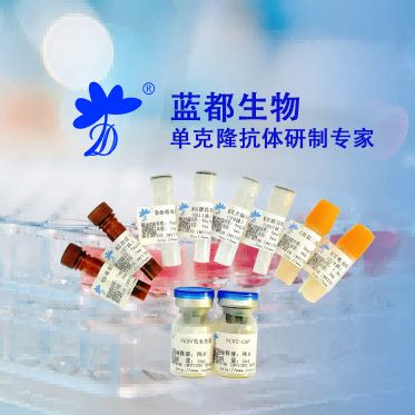 鼠抗羊布lu氏菌LPS配对单克隆抗体