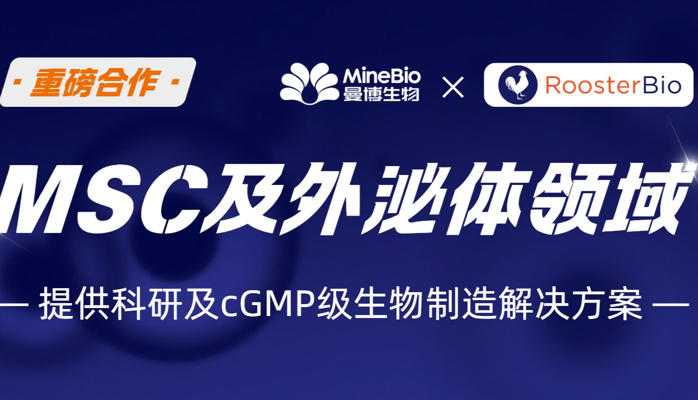 【重磅合作】曼博生物携手RoosterBio，赋能中国间充质干细胞 (MSCs) 及外泌体治疗药物开发、大规模标准化生产