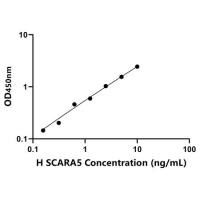 人A类清道夫受体5(SCARA5)ELISA试剂盒