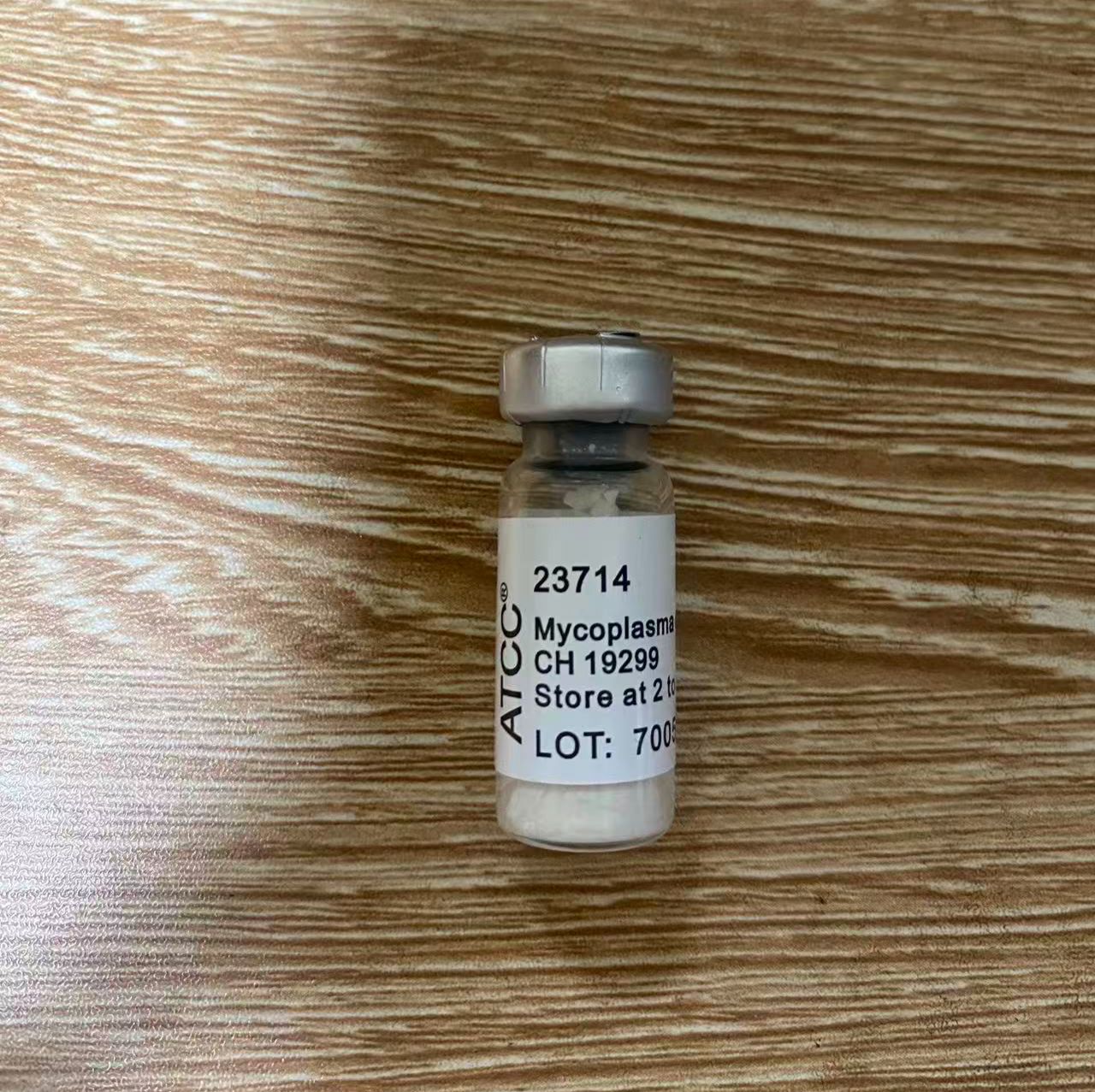 ATCC 23714 口腔支原体标准菌株