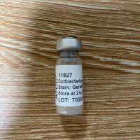 ATCC 11827 痤疮丙 酸杆菌标准菌株