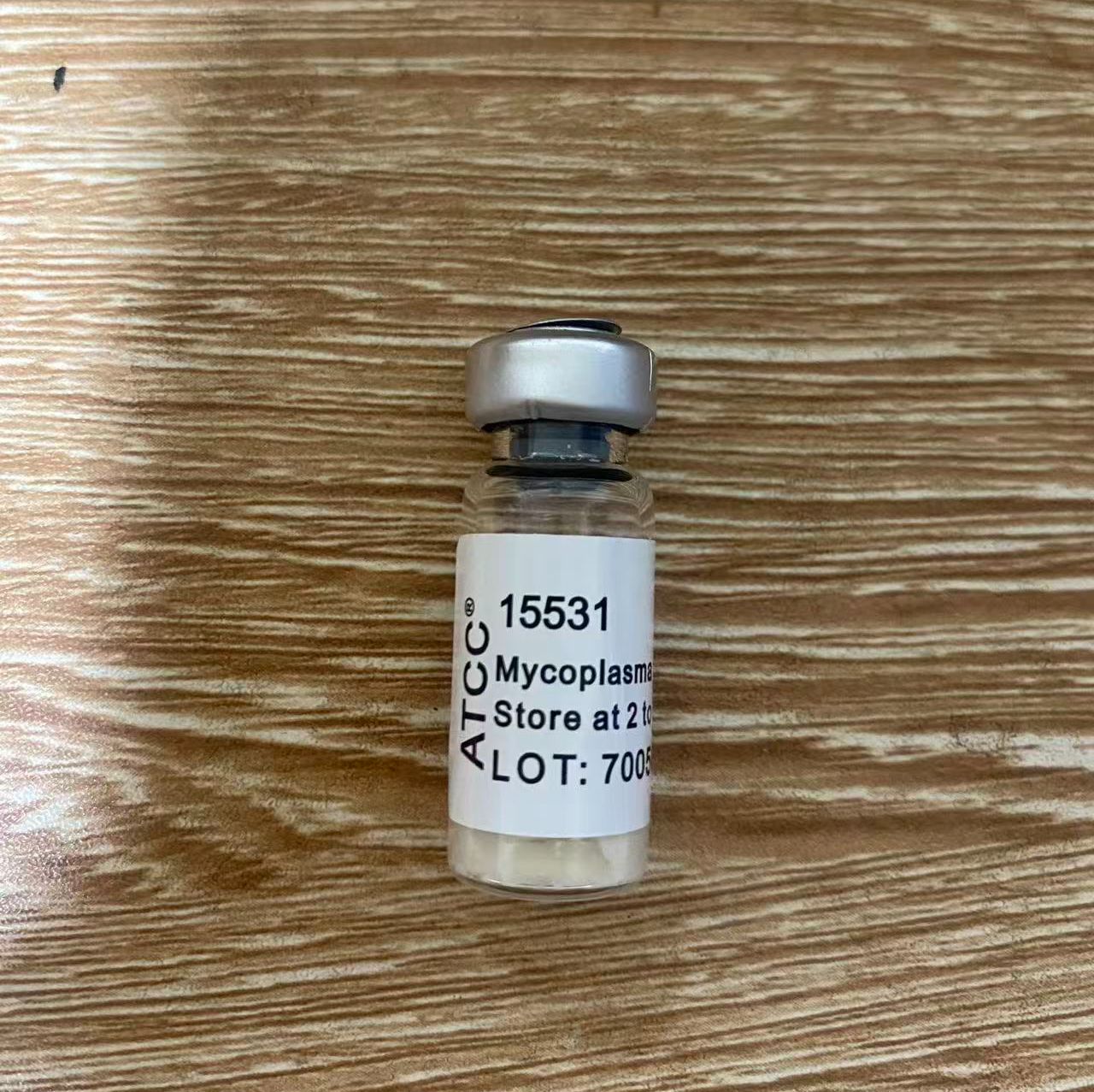 ATCC 15531肺炎支原体标准菌株