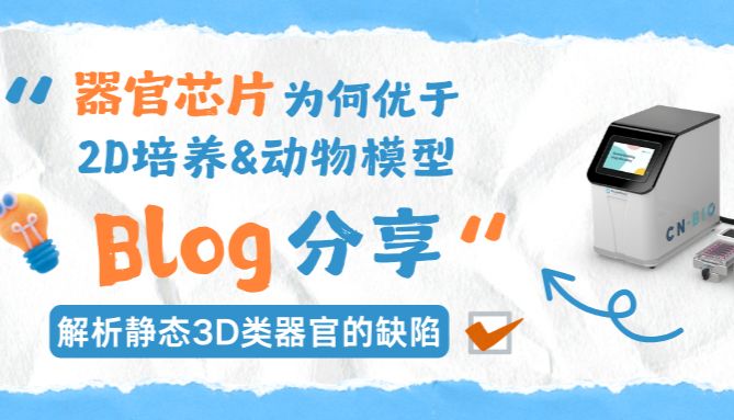 CN Bio｜器官芯片为何优于传统2D细胞培养和动物模型？