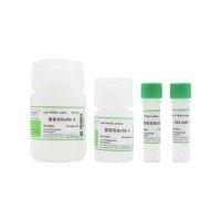 20% Raffinose Solution20%棉子糖溶液（过滤除菌）