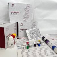 鱼(Fish)促卵泡素(FSH)ELISA检测试剂盒