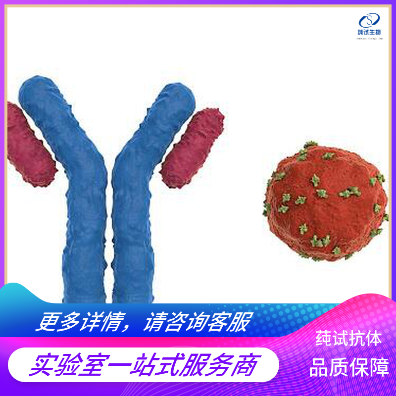 新闻图片1