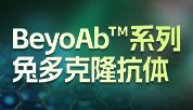 批量上新！BeyoAb™系列兔多克隆抗体