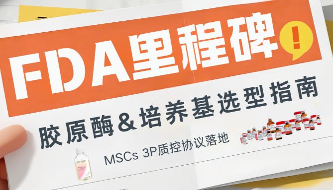 FDA里程碑｜MSCs 3P质控协议落地，合规胶原酶与培养基选型指南