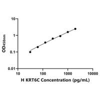 人角蛋白6C(KRT6C)ELISA试剂盒