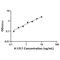 人淋巴细胞白血病衍生序列1(LYL1)ELISA试剂盒