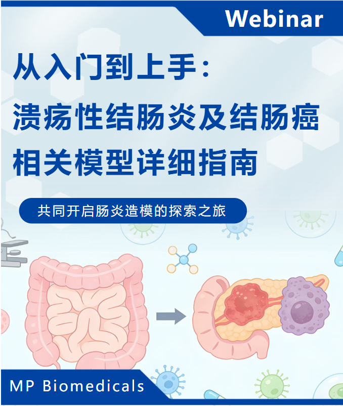 新闻图片1