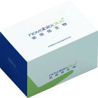  Cell Counting-Light 3D发光法细胞活力测定试剂盒