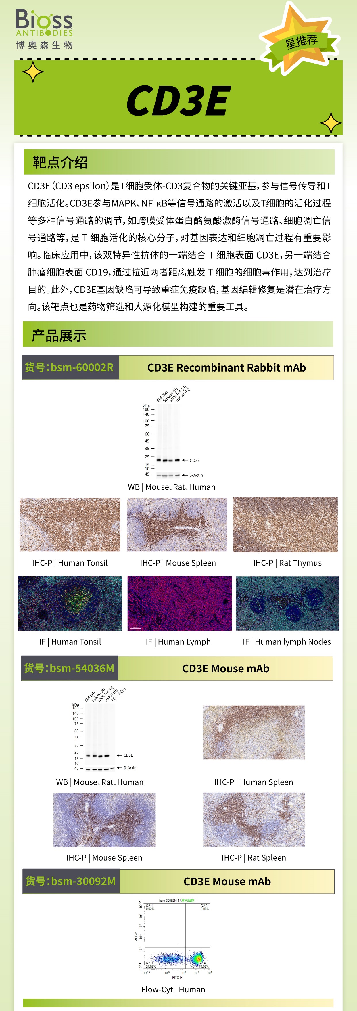 博奥森星推荐 | CD3E 抗体