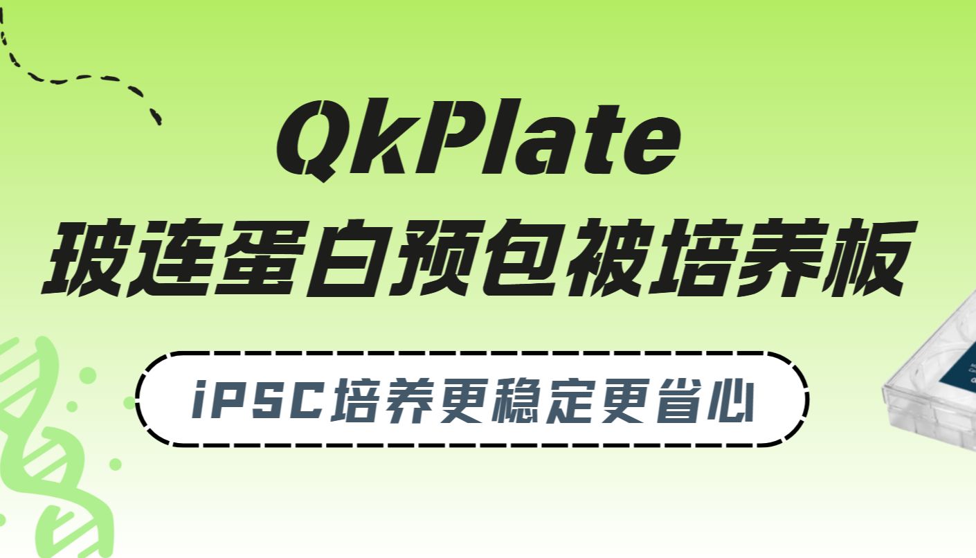 Qkine QkPlate预包被玻连蛋白板｜iPSC培养更稳定更省心