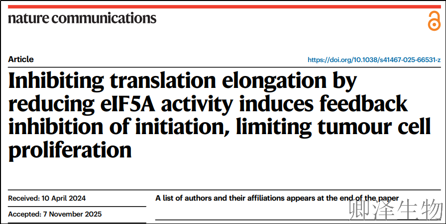 【调控翻译行进速度】 | ：给癌细胞翻译机器“踩刹车”，竟能引发连锁“能源危机”