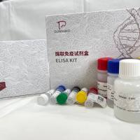 猫（Cat）α干扰素（IFN-α）ELISA检测试剂盒