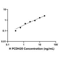 人原钙黏素20(PCDH20)ELISA试剂盒